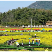 辛小湘丨湖南春日经济新图景