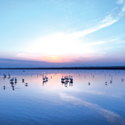 贺弘联：以正确政绩观夯实党的执政根基