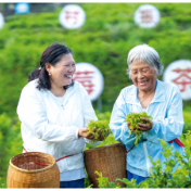 廖国豪：懂经济是组工干部的基本功