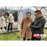 张家界市计生协会深入阳和调研计生协会工作
