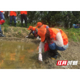 张家界市开展血吸虫病防治春季查螺工作