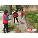 郴州：北湖区开展爱国卫生月志愿者活动