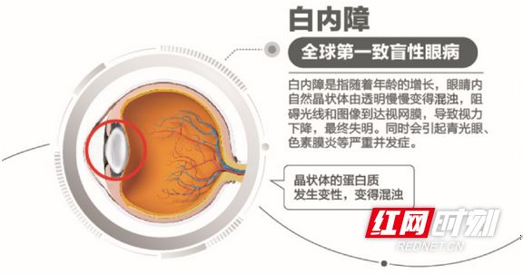图片1.wm.png