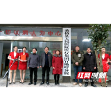 张家界：桑植县级医疗集团乡镇分院挂牌成立