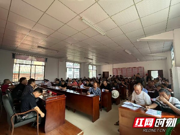 红网2.jpg