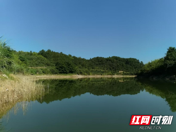 图片2_红网.png 图片2_红网.png