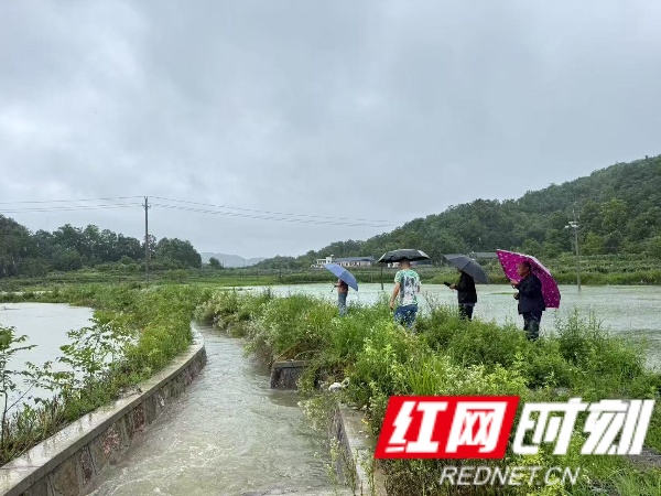 巡库.jpg