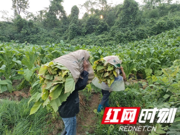 06d26f67c95128474ce3b21256abb8b_副本.jpg