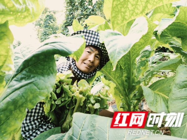 76f6adbd94c95bf3bd7f88025154134_副本.jpg