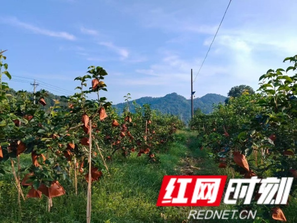 2de33ec0d2095db50a23d62c761ab6a_副本.jpg
