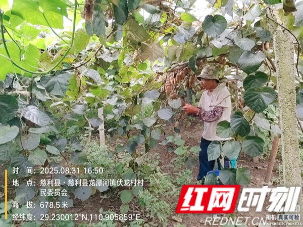 d40b3a3a4170a92c82294410de25d3ea_副本.jpg
