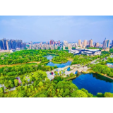 视频丨湘潭：金色的秋天 金色的岳塘