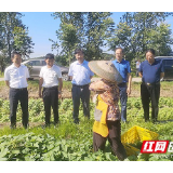 湘潭市领导开展脱贫质量“回头看”工作调研走访
