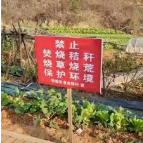 岳塘区开展禁燃禁烧专项督查