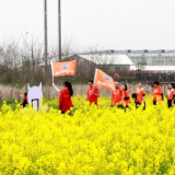 韶山市第二届油菜花节启动