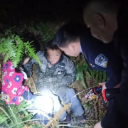 2名儿童走失  湘乡民警连夜在深山中找回