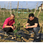 湘潭县一典型案例获全国农技中心推广