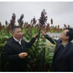 湘潭县：打造人才强磁场 赋能发展新格局