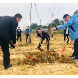 “同心林”又添新绿！湘潭市直统战系统开展植树造林活动