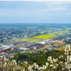 韶山:清明踏青春色中,最忆花开韶山冲(组图)