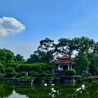 组图丨赏雨湖美景，过惬意夏天