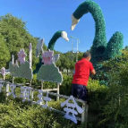高温“烤”验绿雕花境，湘潭园林全力守护“城中微景观”