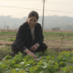 新春走基层丨湘潭县“最美家庭”胡赛姣家庭：致富不忘乡邻，她是乡村振兴的助力者