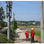 中国青年报丨湘潭7000名青年田间地头建新功
