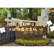 视频丨暑期已至 湘潭和平公园动物园里的小动物邀你来玩