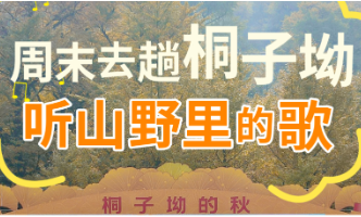 海报丨永州双牌：用音乐唤醒秋日浪漫 定格“桐子坳的秋”