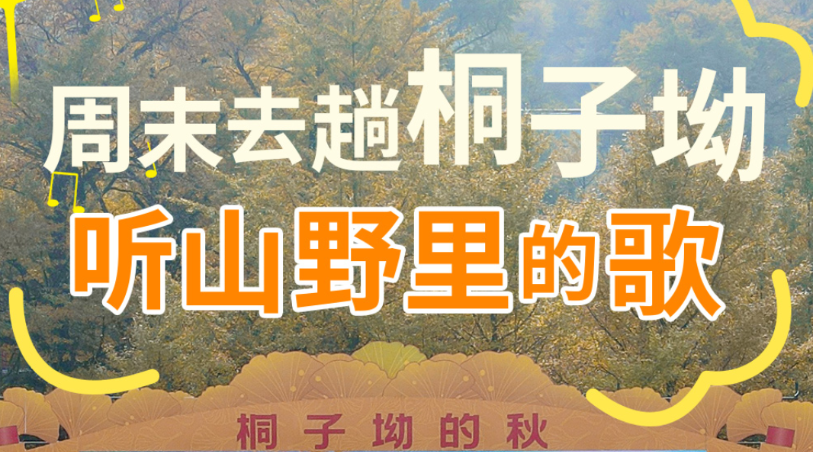 海报丨永州双牌：用音乐唤醒秋日浪漫 定格“桐子坳的秋”