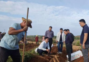 专家田间“科技巡诊” 助力湘南蔬菜产业提质添动能