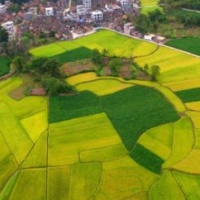 湖南江永:“十四五”期间“三农”工作高质量发展成就显著