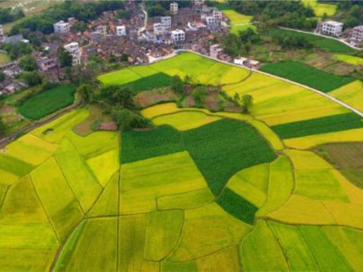 湖南江永：“十四五”期间“三农”工作高质量发展成就显著