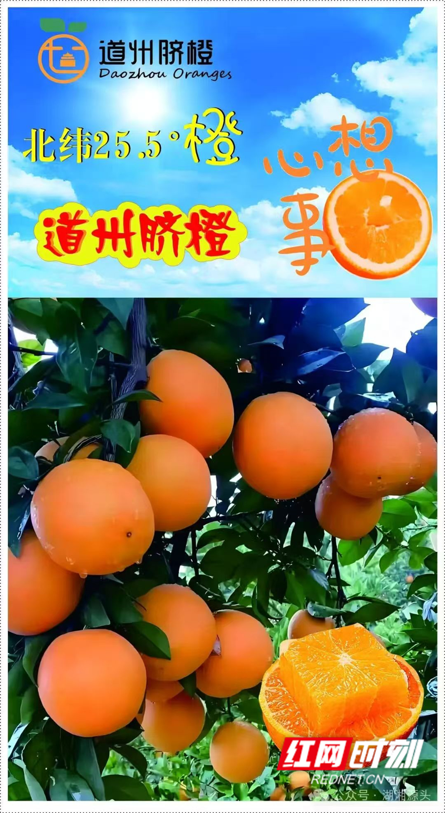 微信图片_20251102090533_2209_62_副本.jpg 微信图片_20251102090533_2209_62_副本.jpg