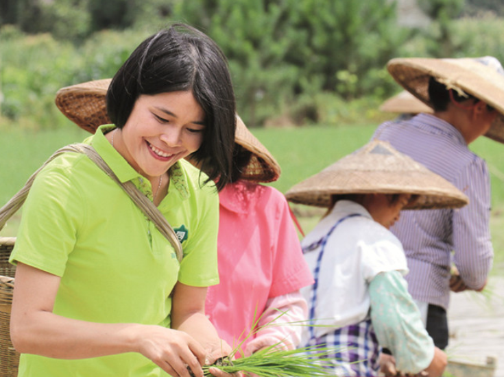 文化永州丨嶷山阿云——粮心永恒：蒋珍凤与她的瑶珍香米