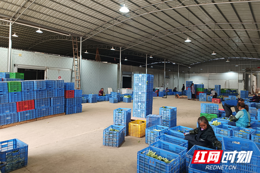 微信图片_20251211081527_161_18_副本.jpg 微信图片_20251211081527_161_18_副本.jpg