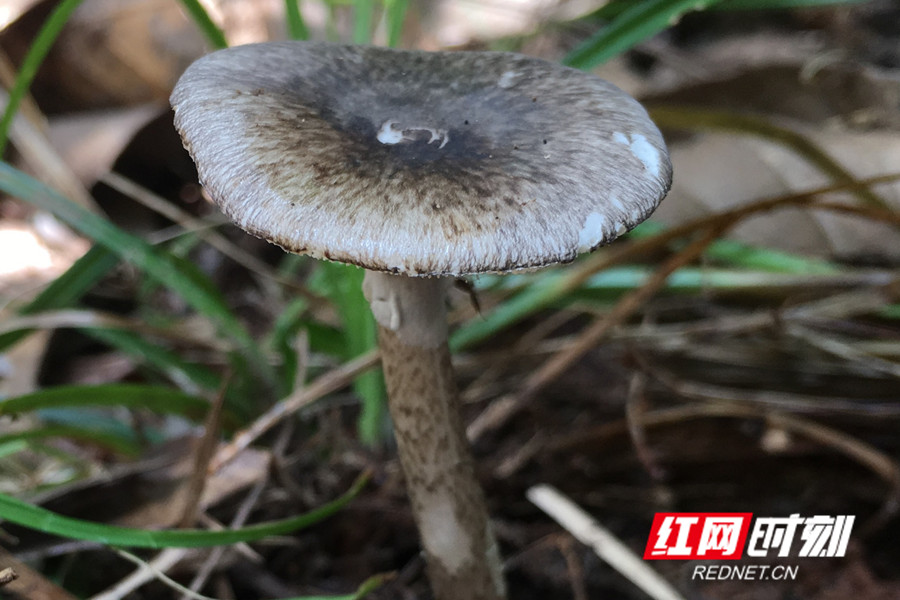 图片4_副本.jpg