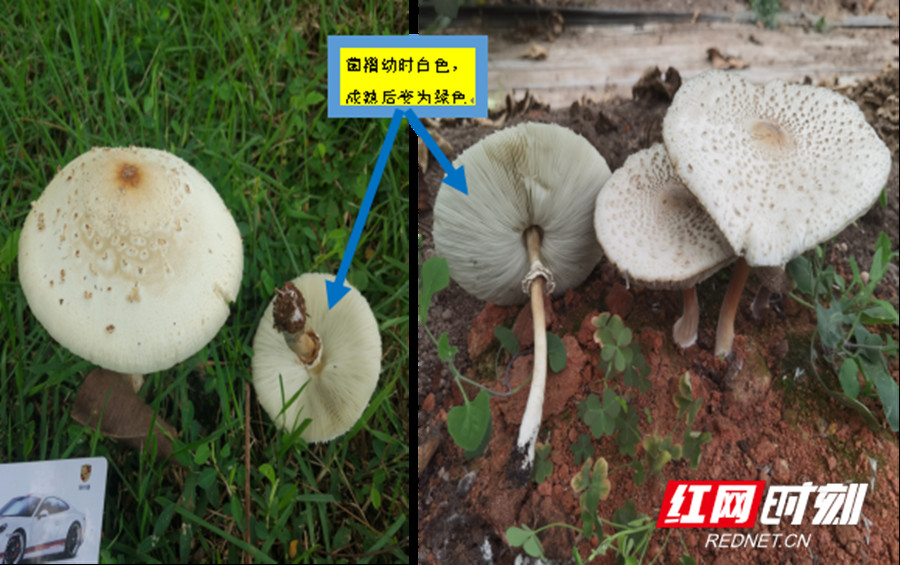 图片2_副本.jpg