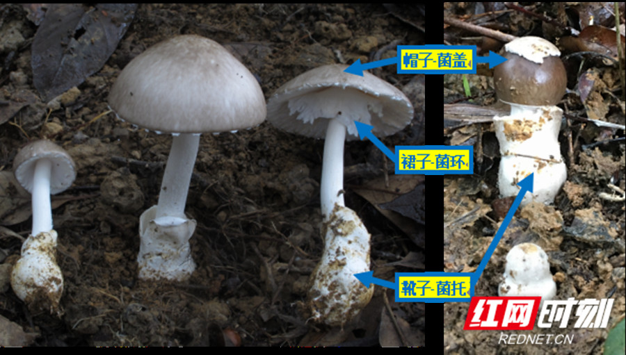 图片5_副本.jpg