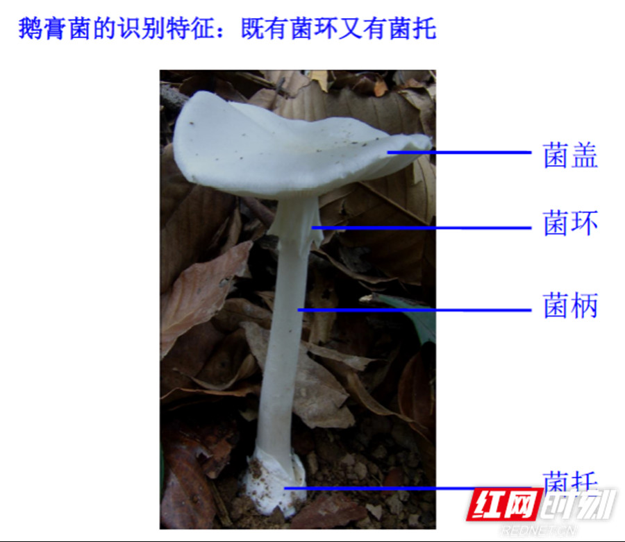 图片7_副本.jpg