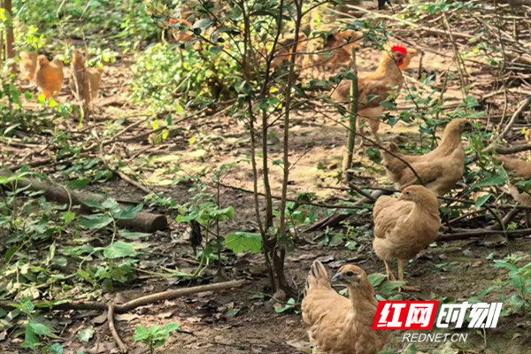 图片4_副本.jpg