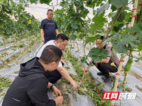 图片1_副本.jpg 图片1_副本.jpg