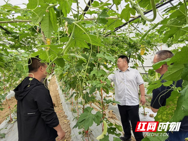 图片2_副本.jpg 图片2_副本.jpg