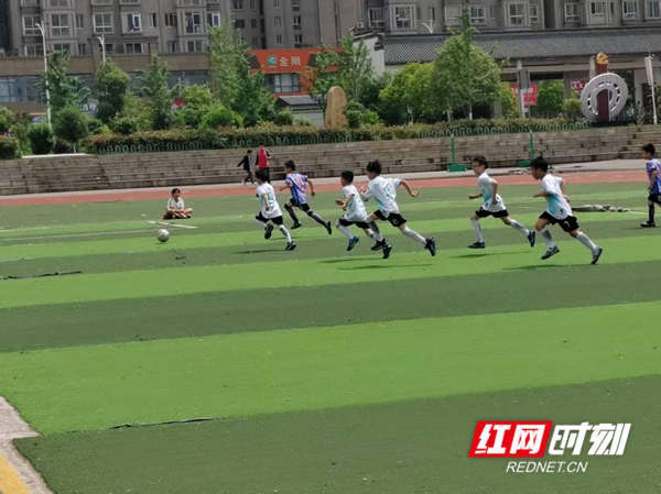 图片5_副本.jpg