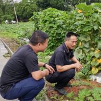 永州：抢抓降雨间歇期 农技下乡护航蔬菜稳产增收