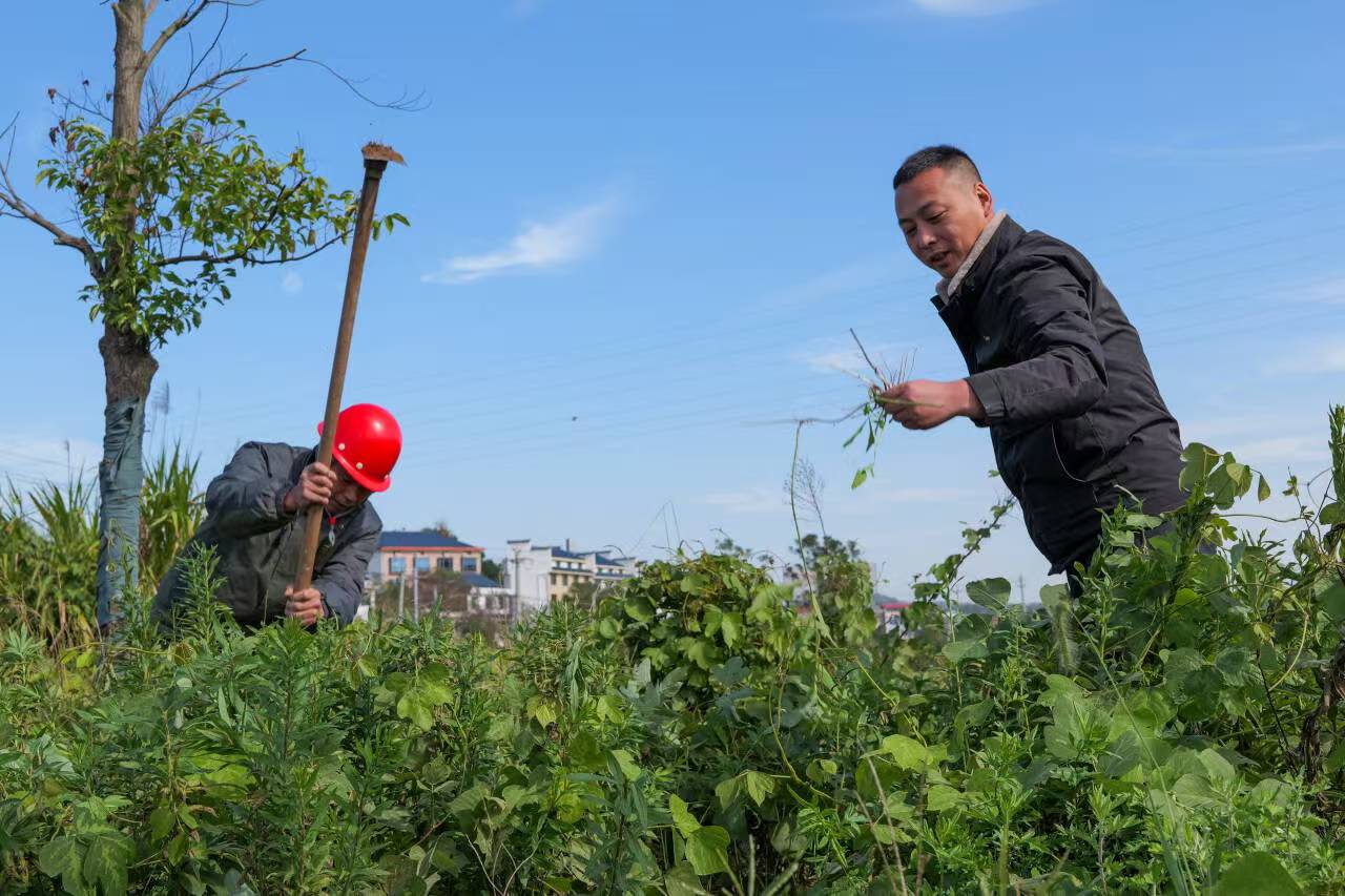 微信图片_20251120184822_21_85.jpg 微信图片_20251120184822_21_85.jpg