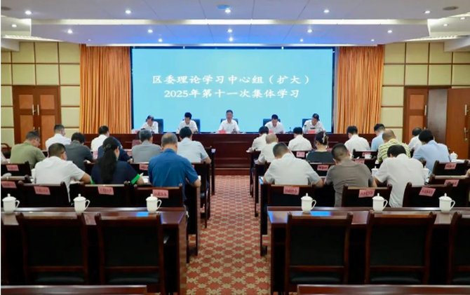 区委理论学习中心组（扩大）举行2025年第十一次集中学习