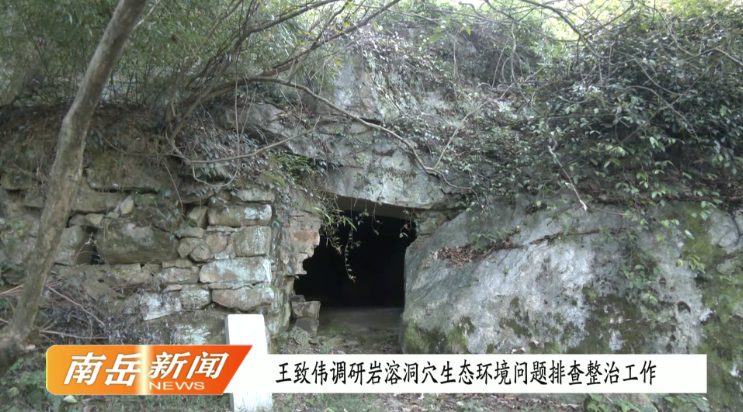 王致伟调研岩溶洞穴生态环境问题排查整治工作
