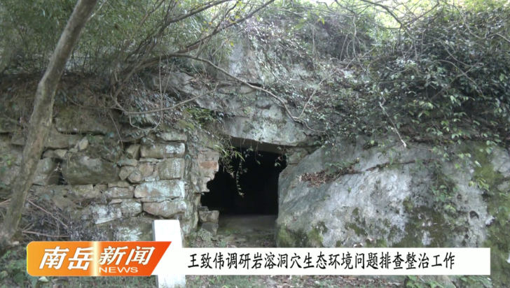 王致伟调研岩溶洞穴生态环境问题排查整治工作